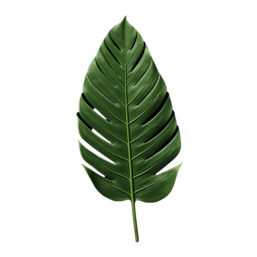 leaf2
