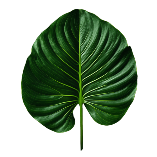 leaf5